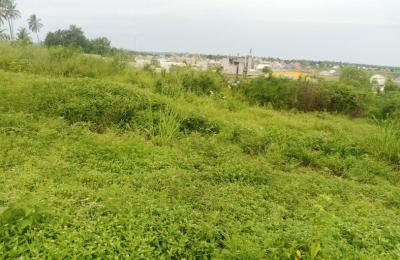 Houses, Apartments, Plots & Viwanja for Sale in Dar es Salaam