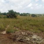 VIWANJA VILIVYOPIMWA – MAKURUNGE, MWANAKONDOO, KILUVYA