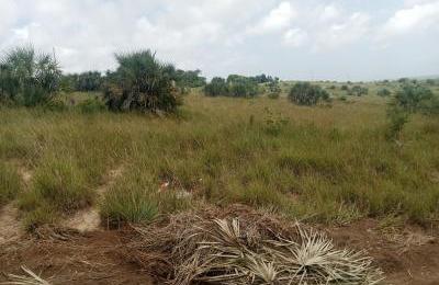 VIWANJA VILIVYOPIMWA – MAKURUNGE, MWANAKONDOO, KILUVYA