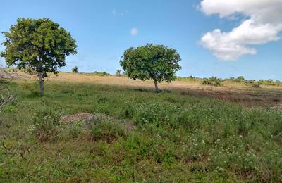 Plots for Sale – Viwanja Kigamboni Kisarawe 2