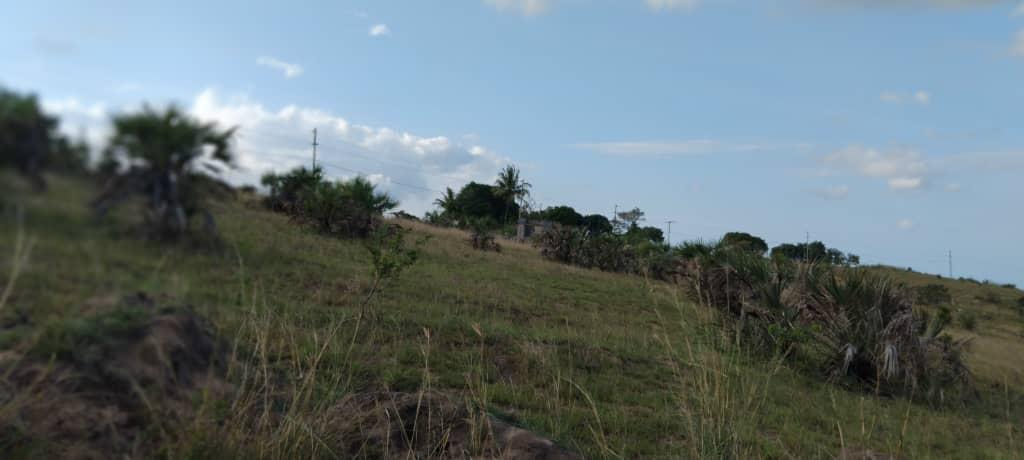 Affordable Plots for Sale | Buy Land in Kigamboni Kisarawe 2 Dar es Salaam