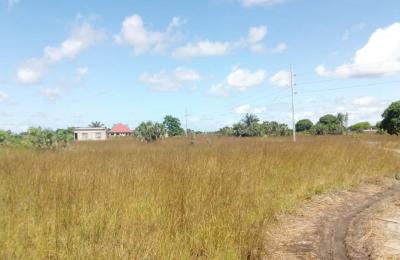 Titled Residential Plot for Sale in Kigamboni near Avic Town