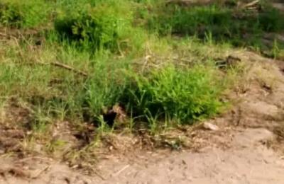 Kiwanja Kigamboni Kinauzwa | Plot for Sale Kigamboni
