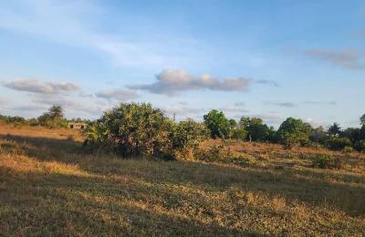 Land for sale