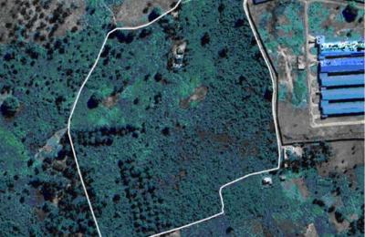 Industrial Land for Sale – Mwanambaya, Mkuranga