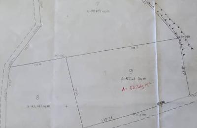 Agricultural Farm for Sale in Kidomole – Bagamoyo (With Title Deeds)