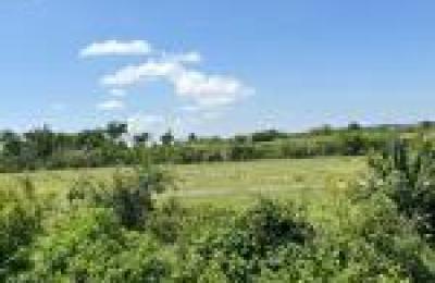31 Acres Land for Sale in Mwanza Tanzania – Affordable Investment Opportunity