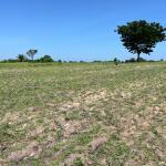 31 Acres Land for Sale in Mwanza Tanzania – Affordable Investment Opportunity